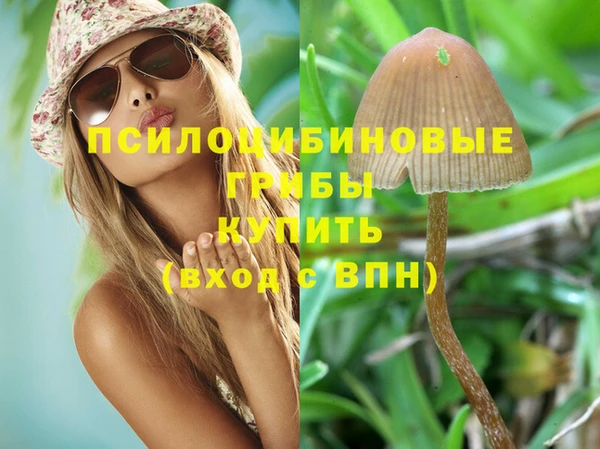 герыч Ростов