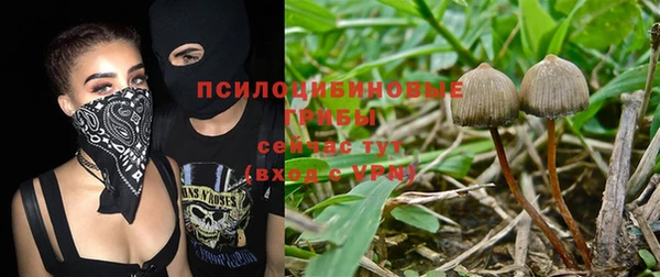МДПВ Россошь