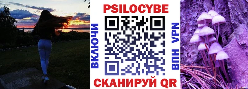 Галлюциногенные грибы Psilocybine cubensis  Невельск 